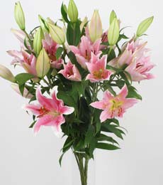  5 Pembe lilyum kazablanka buket �i�ek modeli