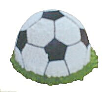  Ulus Ankara yurti�i ve yurtd��� �i�ek sipari�i  Kalite futboll toplu pasta