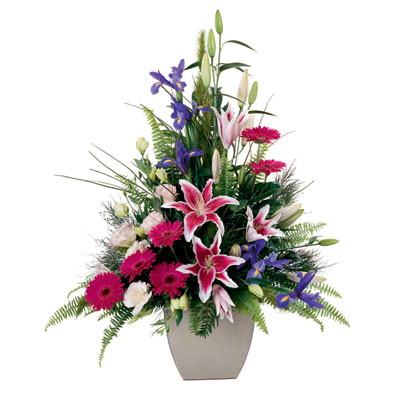  Ulus Ankara kaliteli taze ve ucuz �i�ekler  lilyum gerbera iris lilyum