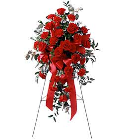  perf�rje �i�egi d�g�n ve a�ilis