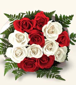  10 adet kirmizi beyaz g�ller - anneler g�n� i�in ideal se�imdir -