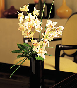  Ulus Ankara iek online iek siparii  cam yada mika vazo ierisinde dal orkide