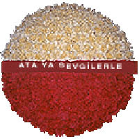 arma anitkabire - mozele i�in 