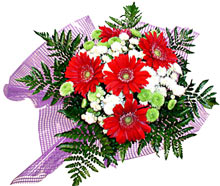 karisik gerbera ve kir �i�egi  