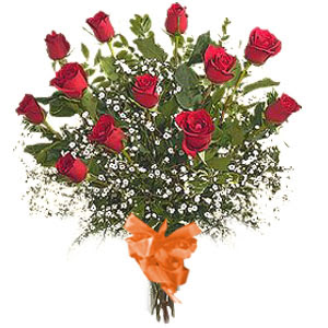 bir d�zine kirmizi g�l buketi  