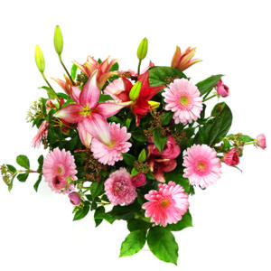 lilyum ve gerbera �i�ekleri - �i�ek se�imi - 
