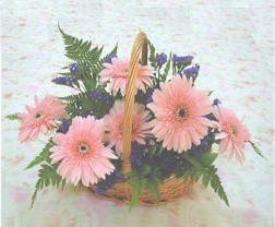 gerbera �i�eklerinde sepet  