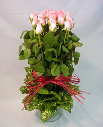 13 adet pembe g�l silindirde  