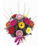 karisik gerbera �i�ekleri 
