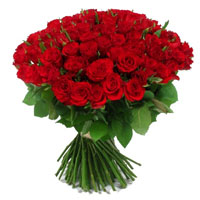 101 adet kirmizi g�l sade 