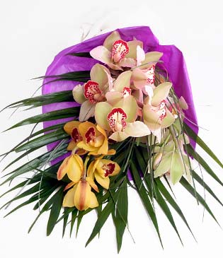  Ulus Ankara yurtii ve yurtd iek siparii  1 adet dal orkide buket halinde sunulmakta