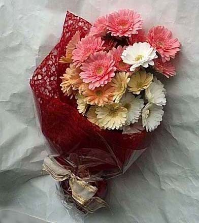 19 adet karisik gerbera buketi  Ulus Ankara g�venli kaliteli h�zl� �i�ek 