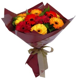  Ulus Ankara hediye sevgilime hediye �i�ek  13 ADET KARISIK GERBERA BUKETI