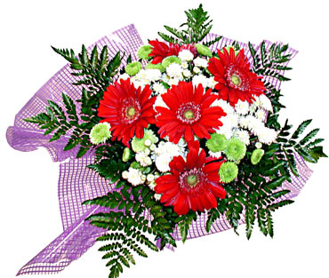 gerbera ve krizantem demeti  Ulus Ankara 14 �ubat sevgililer g�n� �i�ek 