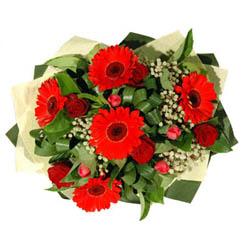   5 adet kirmizi g�l 5 adet gerbera demeti