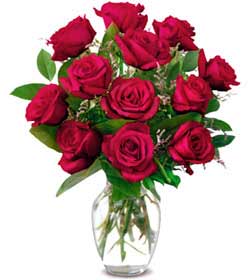  Ulus Ankara kaliteli taze ve ucuz �i�ekler  1 d�zine kirmizi g�l sevenlere �zel vazo g�lleri