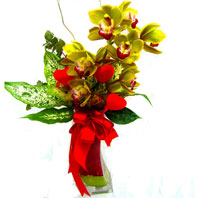  Ulus Ankara online ieki , iek siparii  1 adet dal orkide ve cam yada mika vazo tanzim