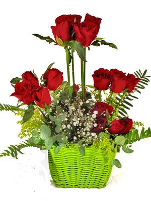  Ulus Ankara yurti�i ve yurtd��� �i�ek sipari�i  �i�ek siparisi 9 adet kirmizi g�l