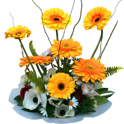 camda gerbera ve mis kokulu kir �i�ekleri 