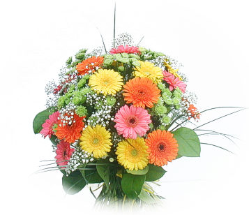 13 adet gerbera �i�egi buketi  Ulus Ankara kaliteli taze ve ucuz �i�ekler 