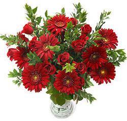 5 adet kirmizi g�l 5 adet gerbera aranjmani 