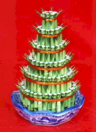 Lucky Bamboo sans melegi �i�egi  Ulus Ankara �i�ek online �i�ek sipari�i 