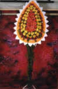  d�g�n a�ilis �i�ekleri 
