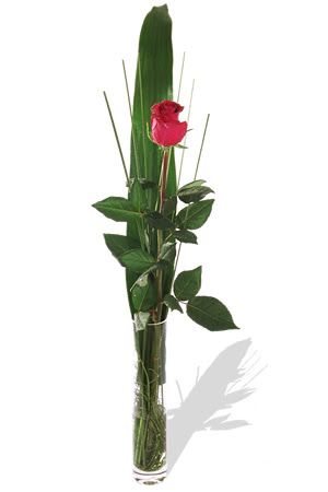 1 adet cam vazo i�erisinde kirmizi g�l 