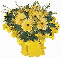 Ulus Ankara 14 �ubat sevgililer g�n� �i�ek  9 adet sari g�zel gerbera