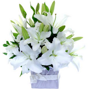  2 dal cazablanca vazo �i�e�i