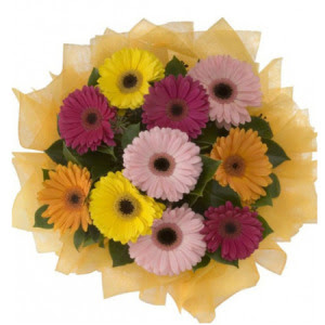  11 adet kar���k gerbera �i�e�i buketi