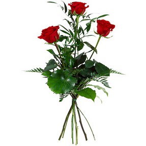  Ulus Ankara online �i�ek�i , �i�ek sipari�i  3 adet k�rm�z� g�lden buket