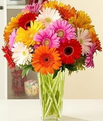  Ulus Ankara �i�ek g�nderme  15 adet gerbera �i�ek vazosu