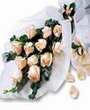  11 adet Somon renkli g�ller
