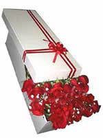  11 adet 1.kalite magnum g�ller
