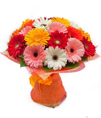 Renkli gerbera buketi  Ulus Ankara �nternetten �i�ek sipari�i 