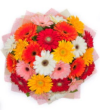 15 adet renkli gerbera buketi  Ulus Ankara ucuz �i�ek g�nder 