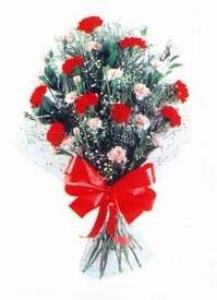  Karanfillerden g�zel bir demet