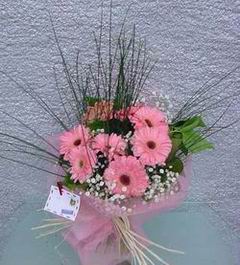  Pembe gerbera mevsim �i�ekleri