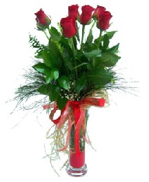 vazo i�erisinde 5 k�rm�z� g�l  Ulus Ankara �i�ek , �i�ek�i , �i�ek�ilik 