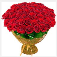 51 adet g�l 1 g�nl���ne indirimde  