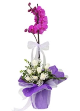 1 dal mor orkide ve 11 adet beyaz g�l  Ulus Ankara �i�ek yolla , �i�ek g�nder , �i�ek�i  