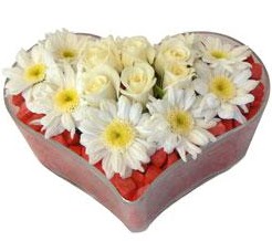 Kalp i�erisinde 7 beyaz g�l ve papatyalar  Ulus Ankara hediye sevgilime hediye �i�ek 