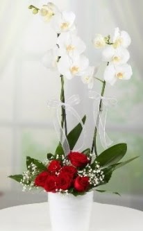 2 dall beyaz orkide 7 adet krmz gl  Ulus Ankara iek yolla , iek gnder , ieki  