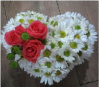3 adet k�rm�z� g�l mika kalptte papatyalar  Ulus Ankara hediye sevgilime hediye �i�ek 