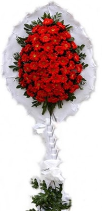 Tekli D���n nikah ��yeri a��l�� �i�e�i 