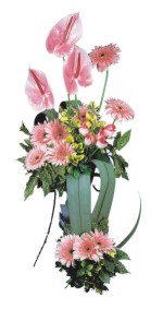  Ulus Ankara �i�ek , �i�ek�i , �i�ek�ilik  Pembe Antoryum Harikalar R�yasi