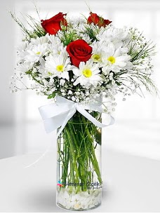 3 k�rm�z� g�l ve krizantemler camda  Ulus Ankara �i�ek�i telefonlar� 