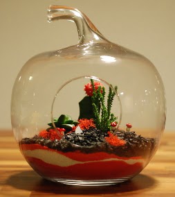 Elma Terrarium 3 kakt�s orta boy  Ulus Ankara �i�ek yolla , �i�ek g�nder , �i�ek�i  