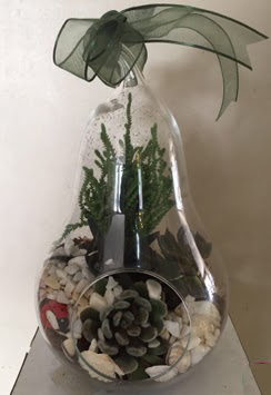 Orta boy armut terrarium 3 kakt�s  Ulus Ankara �i�ek , �i�ek�i , �i�ek�ilik 